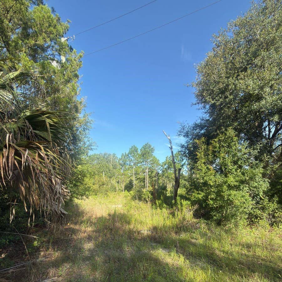 Property photo for 19037 PARAKEET ROAD, Brooksville, FL