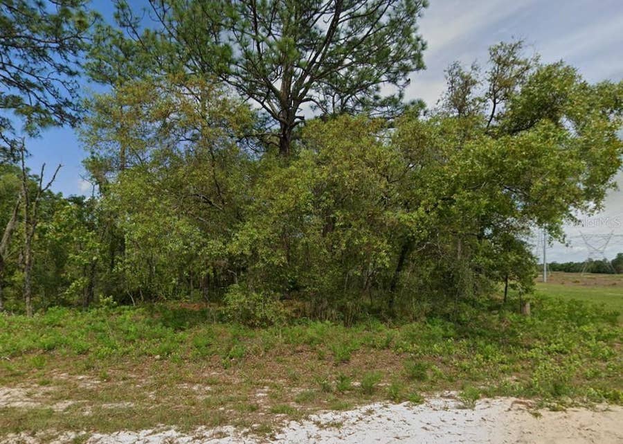 Property photo for 6895 N VARSITY AVENUE, Citrus Springs, FL