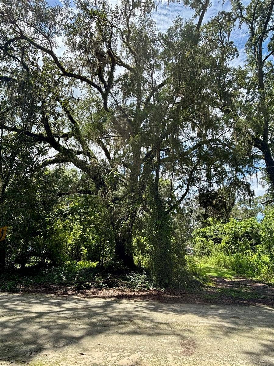 Property photo for Lot 28 SW 109 LANE, Dunnellon, FL