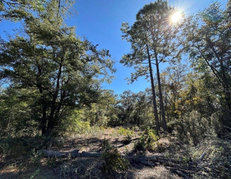 Property photo for TBD NE 86TH STREET, Bronson, FL