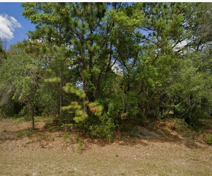 Property photo for 1895 W HAMPSHIRE BOULEVARD, Citrus Springs, FL