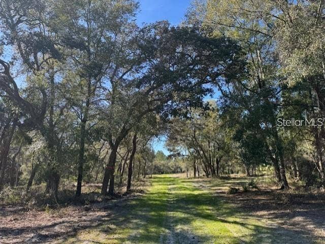 Property photo for TBD NE 150TH AVE ROAD, #LOT 5, Fort Mc Coy, FL