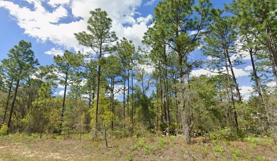 Property photo for 2193 W GALAXY LANE, Citrus Springs, FL