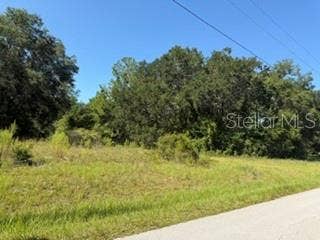 Property photo for TBD SE 59TH PLACE, Ocklawaha, FL