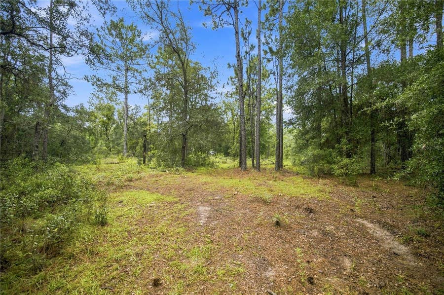Property photo for 21350 SE 66TH STREET, Morriston, FL