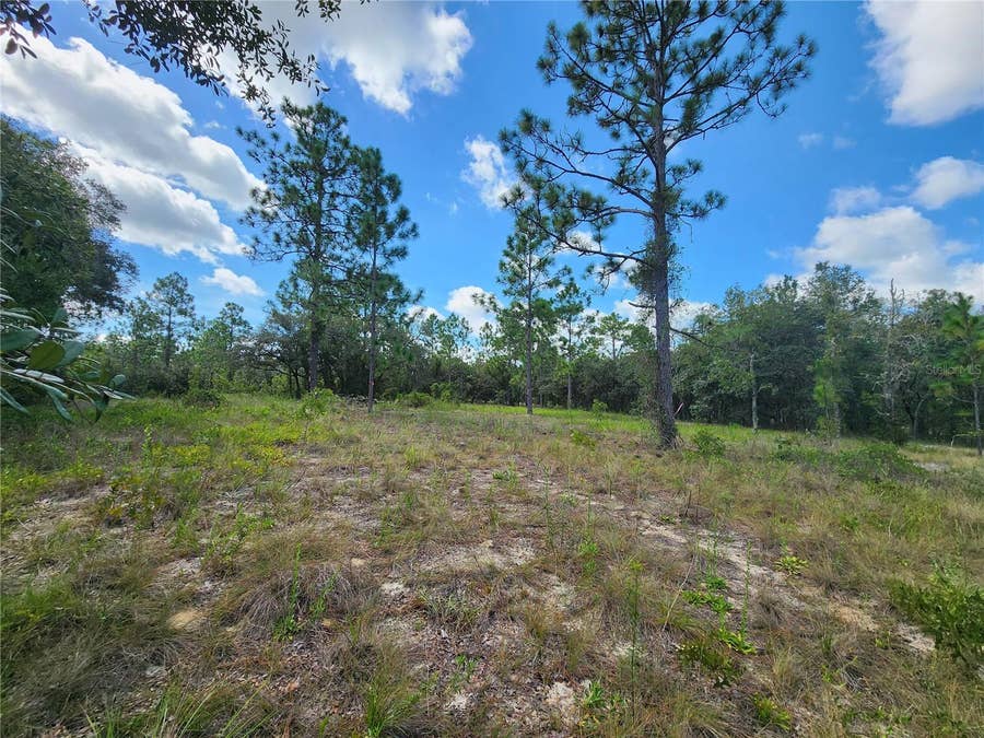 Property photo for SW NECTARINE LANE, Dunnellon, FL