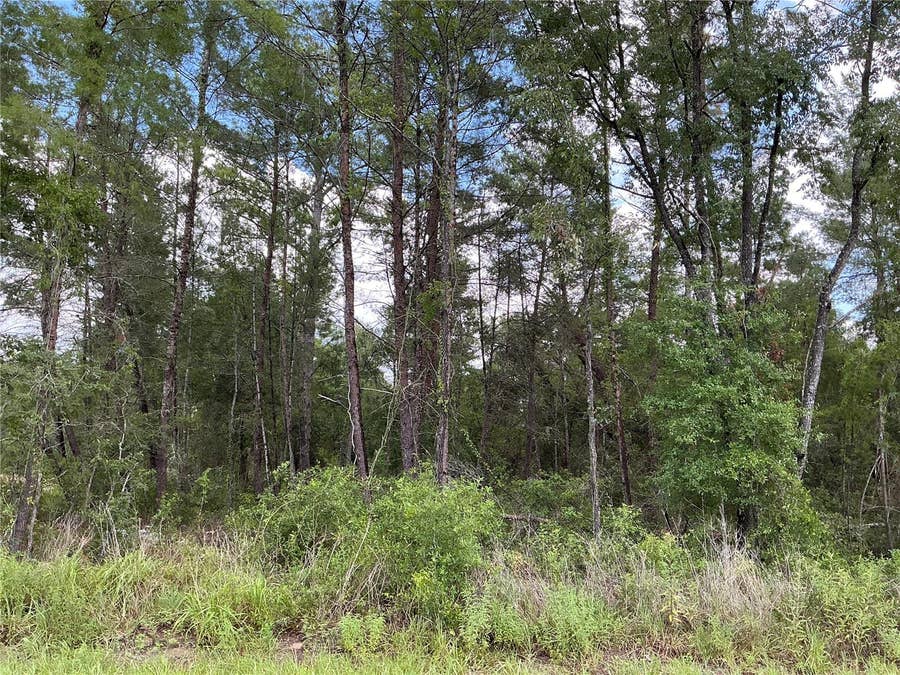 Property photo for LOT 1 BAY COURT PASS, Ocklawaha, FL
