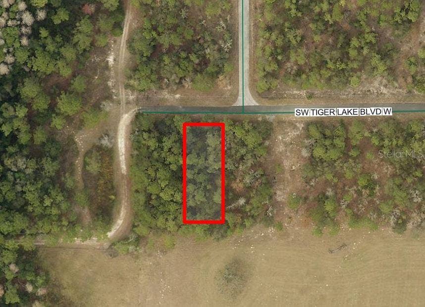 Property photo for 0 SW TIGER LAKE BOULEVARD, Dunnellon, FL