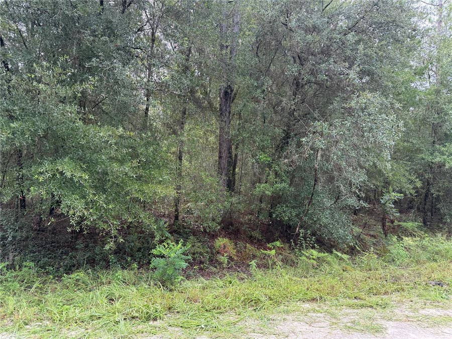 Property photo for tbd SW 125TH TERRACE, Dunnellon, FL