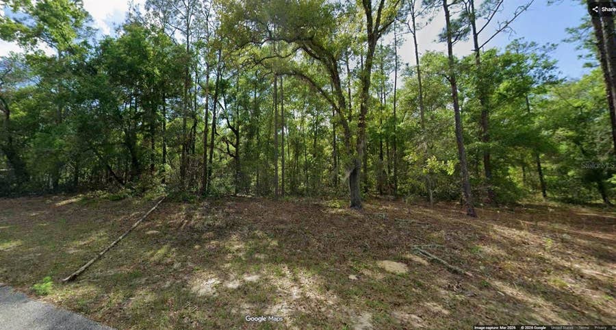 Property photo for 11286 N SCHULT TERRACE, Dunnellon, FL