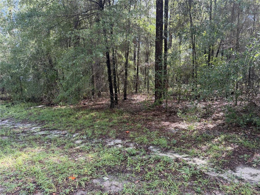 Property photo for 10049 N BISCAYNE DRIVE, Citrus Springs, FL