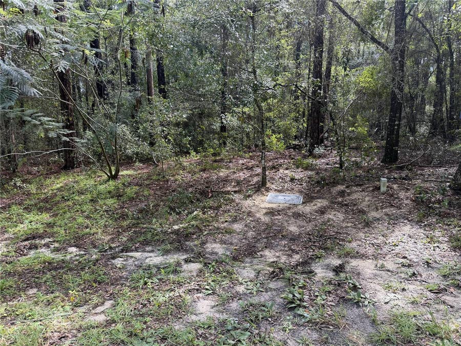 Property photo for 10061 N BISCAYNE DRIVE, Citrus Springs, FL