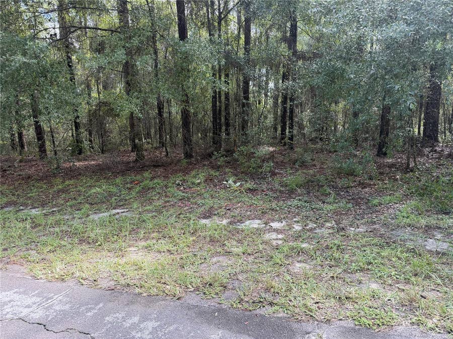 Property photo for 10075 N BISCAYNE DRIVE, Citrus Springs, FL