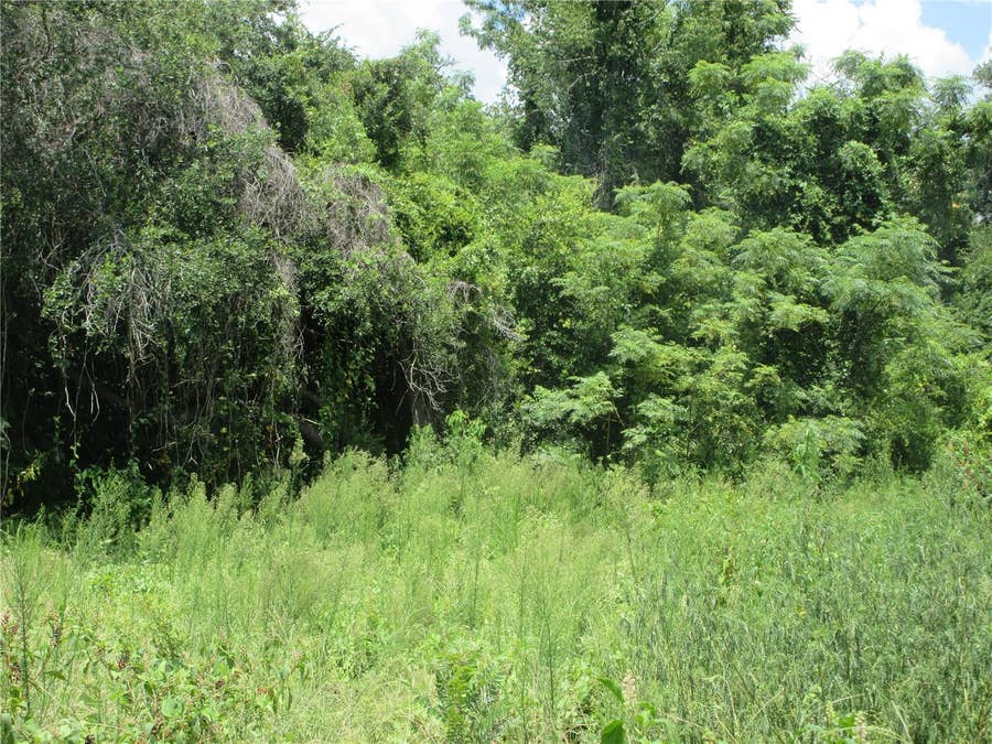 Property photo for TBD SE 18TH STREET, Silver Springs, FL