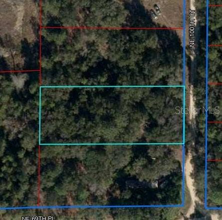 Property photo for Lot 2 NE 100TH COURT, Bronson, FL