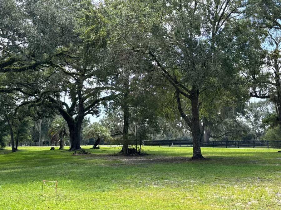Property photo for 12125 NW 100TH STREET, Ocala, FL