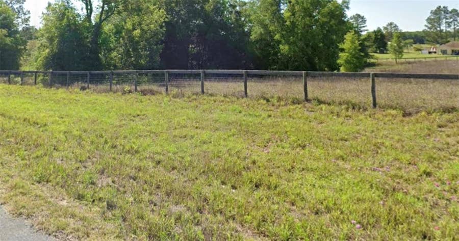 Property photo for 0 SE 175TH COURT, Morriston, FL