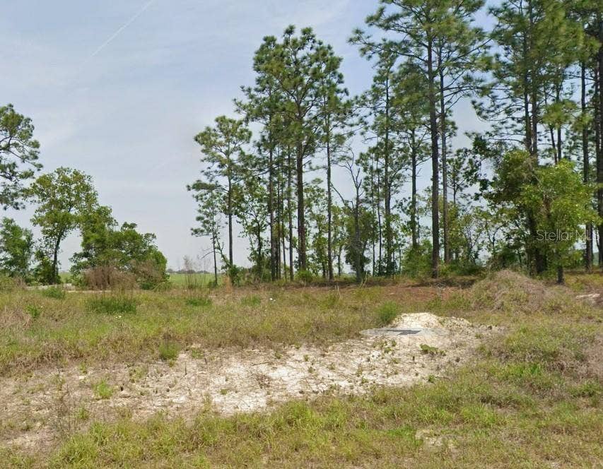Property photo for 23949 NW FALCON AVENUE, Dunnellon, FL