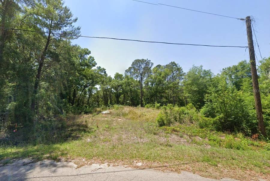 Property photo for 77 BAY COURT PASS, Ocklawaha, FL