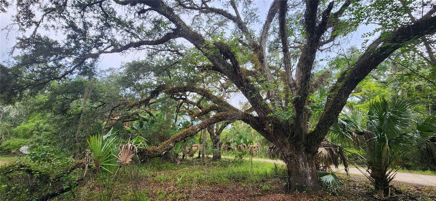 Property photo for 7096 E CHANNEL DRIVE, Hernando, FL