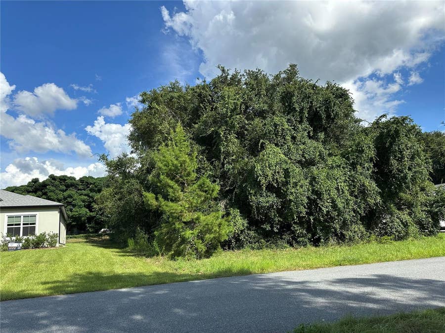 Property photo for 000 SW 128TH PLACE, Ocala, FL