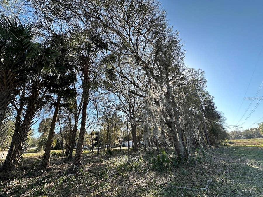 Property photo for TBD NE 151 LANE, Fort Mc Coy, FL