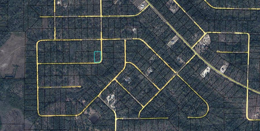 Property photo for TBD TAMARAC ROAD, Marianna, FL