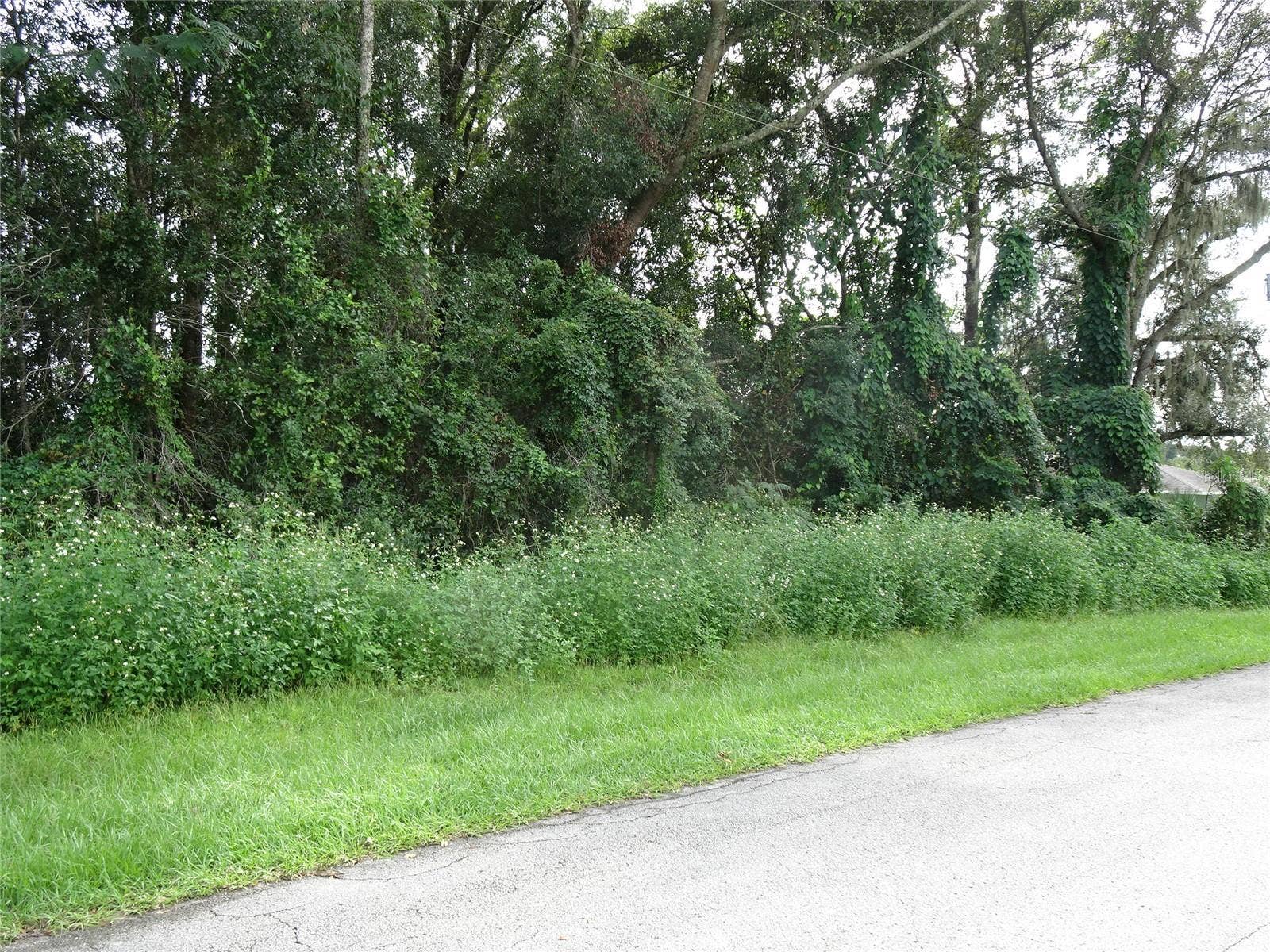 00 NW 67TH STREET, Ocala, FL 34475 00 NW 67TH STREET, Ocala, FL 34475