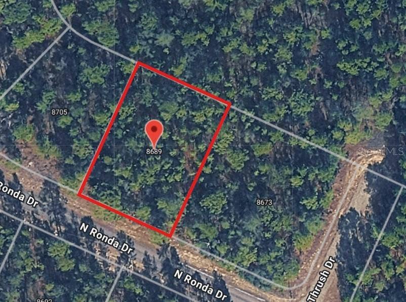 Property photo for 8689 N RONDA DRIVE, Citrus Springs, FL