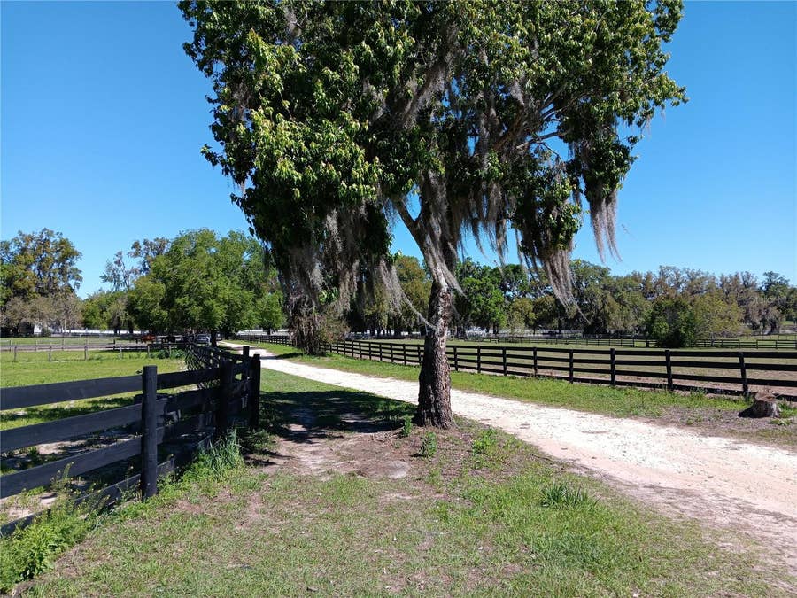Property photo for 2630 NW 140TH STREET, Citra, FL