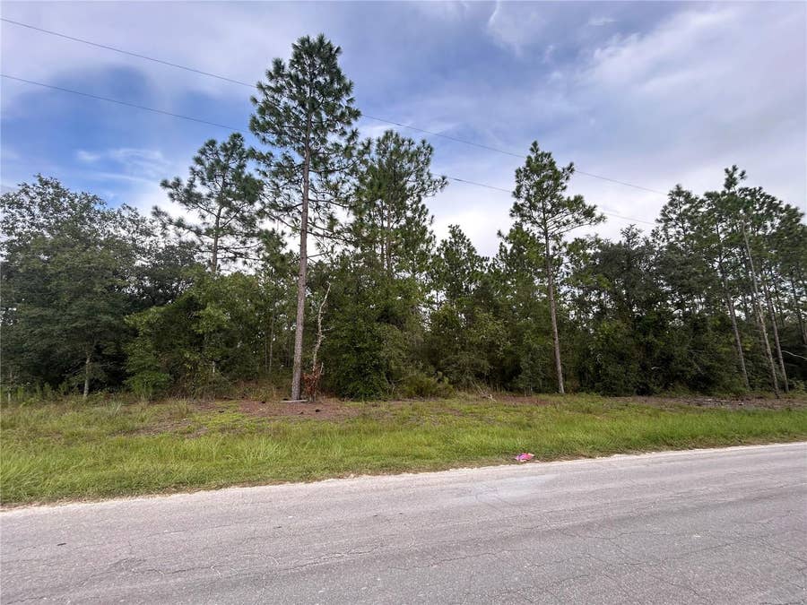 Property photo for TBD NE 150TH AVENUE, Williston, FL
