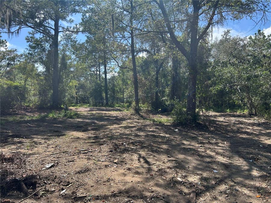 Property photo for 1631 NE 123RD TERRACE, Williston, FL