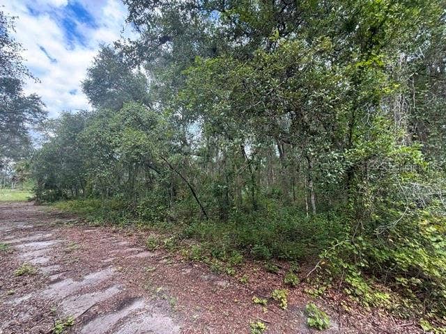 Property photo for 189 N OAKWOOD TERRACE, Inverness, FL