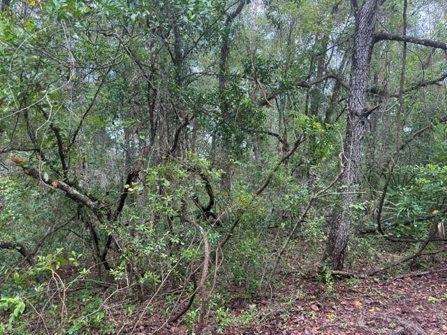 Property photo for 177 N OAKWOOD TERRACE, Inverness, FL