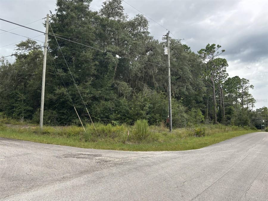 Property photo for 0 SW SOUTH WIND COURT, Dunnellon, FL