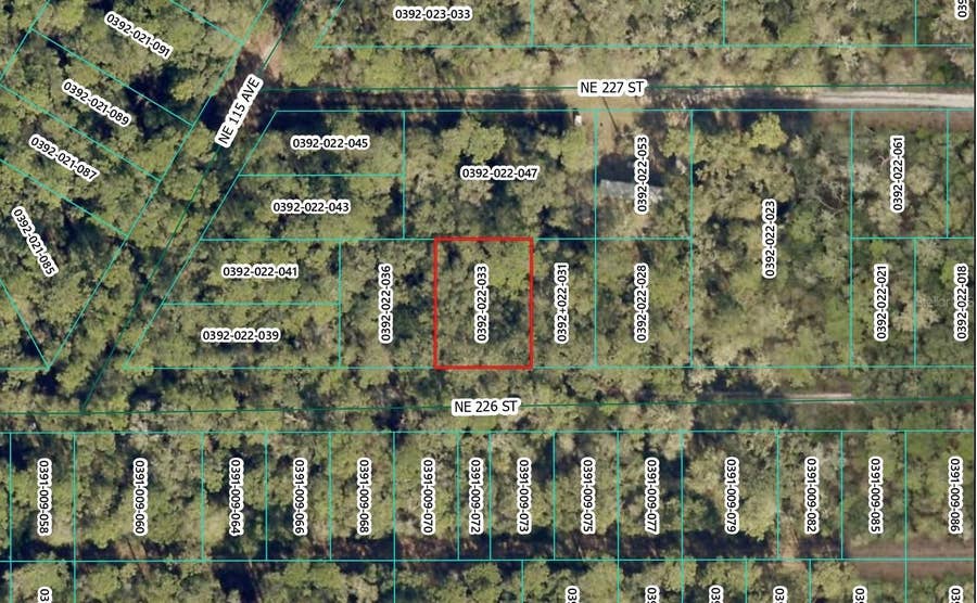 Property photo for NE 226TH STREET, Orange Springs, FL