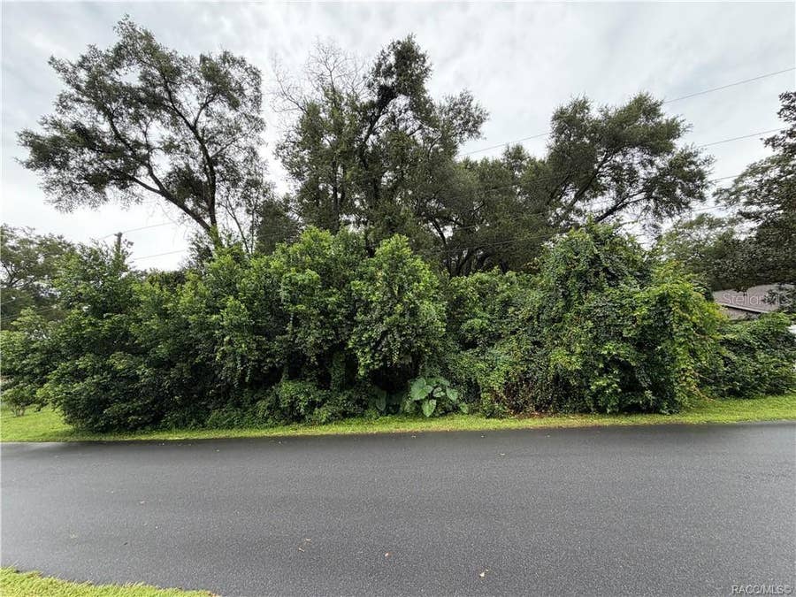 Property photo for 6140 E IVY LANE, Inverness, FL