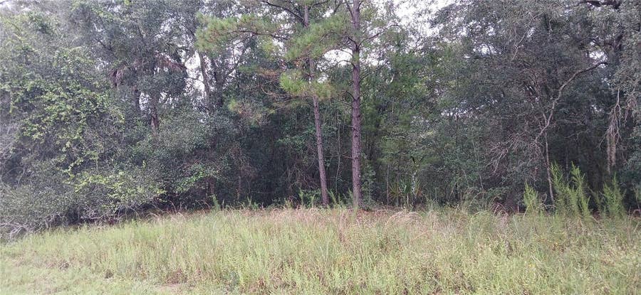 Property photo for 1623 E IVYDALE DRIVE, Citrus Springs, FL