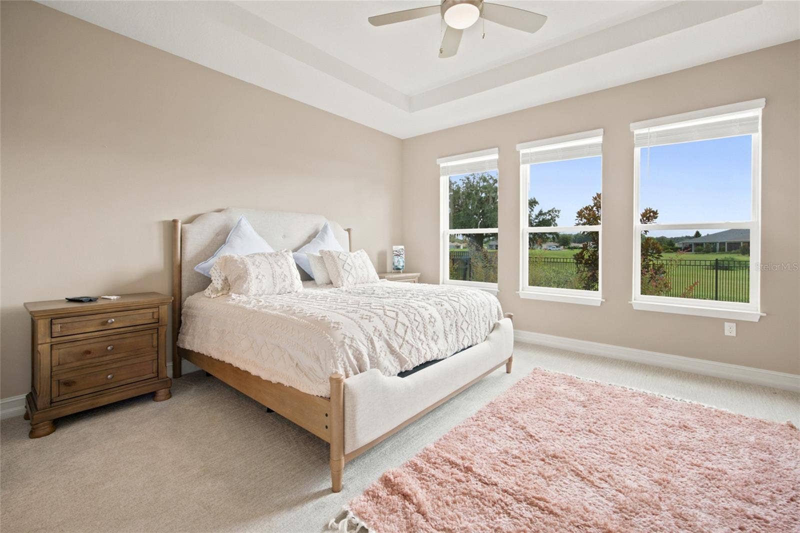 Generously sized primary bedroom featuring a tray ceiling and three windows overlooking the backyard.