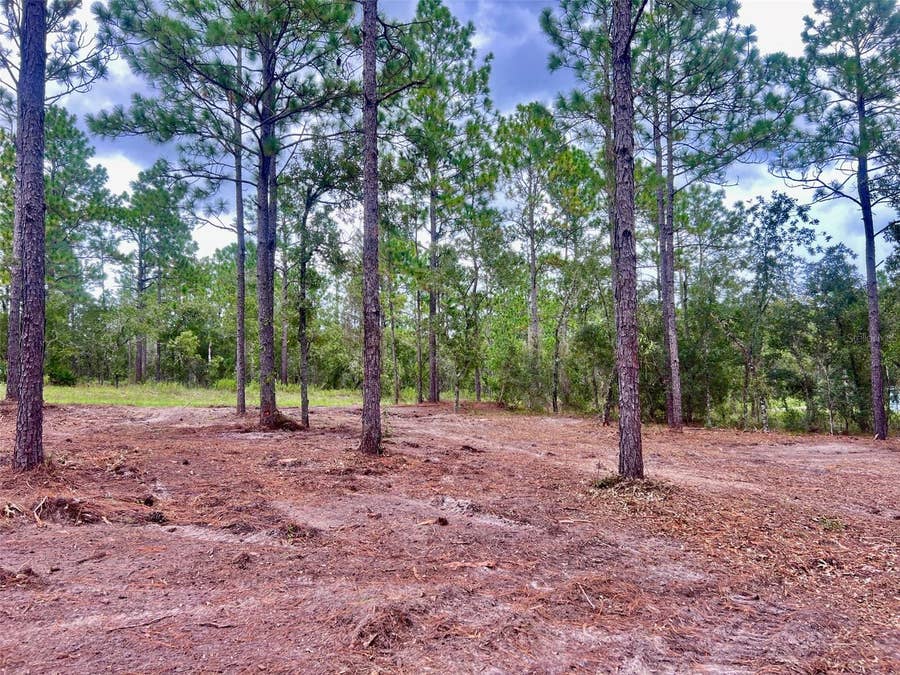 Property photo for 16 SW ANCHOR BOULEVARD, Dunnellon, FL