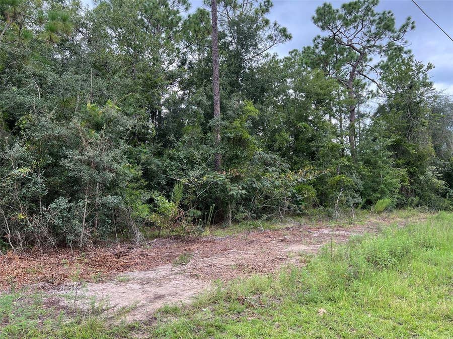 Property photo for TBD SW 167TH AVENUE, Ocala, FL