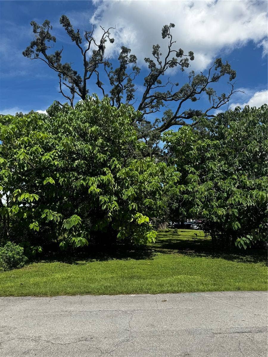 Property photo for 0 NW 10TH STREET, Ocala, FL