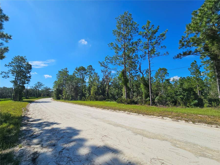 Property photo for 0000 NE 38TH PLACE, Williston, FL