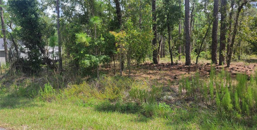 Property photo for 0 NW HILLSDALE AVENUE, Dunnellon, FL
