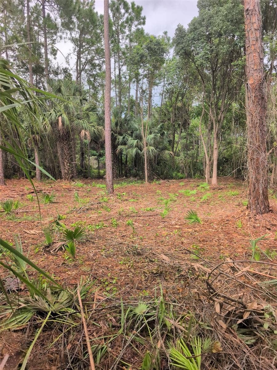 MARIE AVENUE, Deland, FL 32720 MARIE AVENUE, Deland, FL 32720