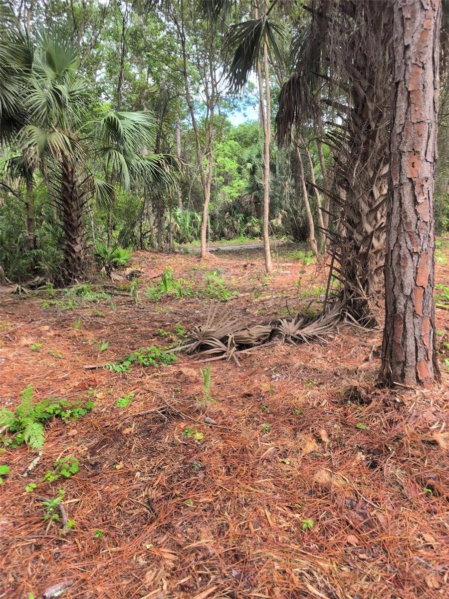 MARIE AVENUE, Deland, FL 32720 MARIE AVENUE, Deland, FL 32720