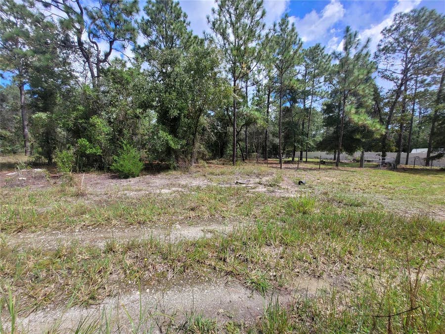 Property photo for 0 NE 3RD PL, Williston, FL
