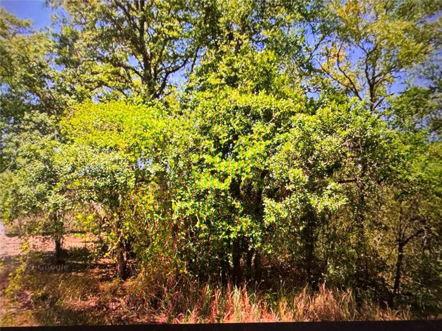 Property photo for 252 LOCUST LANE, Ocala, FL