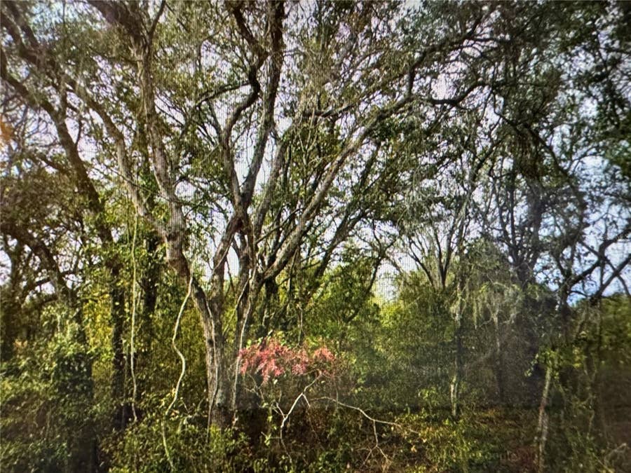 Property photo for 0 SE 141ST AVENUE, Ocklawaha, FL