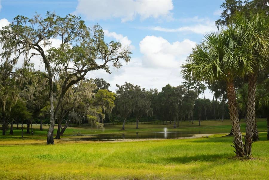 Property photo for NW 160TH STREET, Reddick, FL
